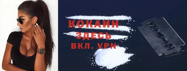 Альфа ПВП Богородицк